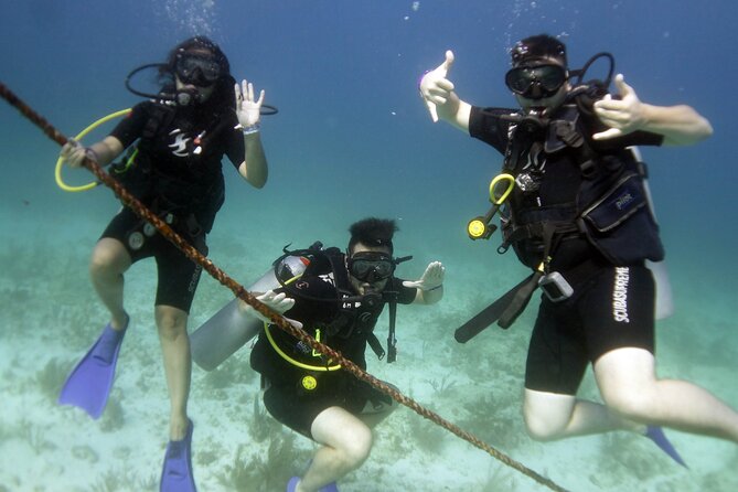 PADI Discover Scuba Diving for Divers Without Certification - Meeting and Pickup Information