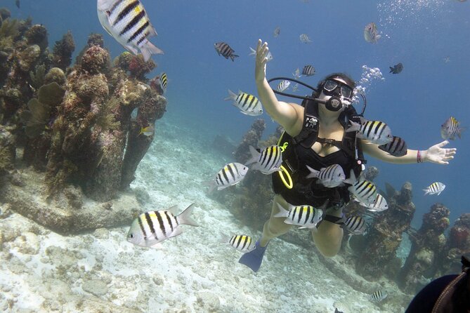 PADI Discover Scuba Diving for Divers Without Certification - What to Expect on the Tour