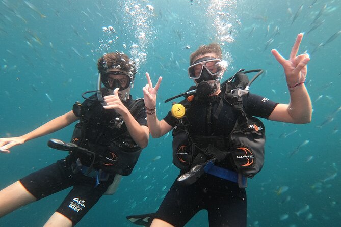 PADI Discover Scuba Diving in Koh Phangan (Beginners) - The Sum Up