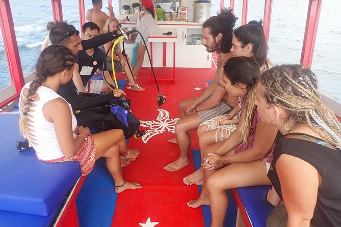 PADI Discover Scuba Diving in Koh Tao - Half Day and Two Dives - Overview of PADI Discover Scuba Diving