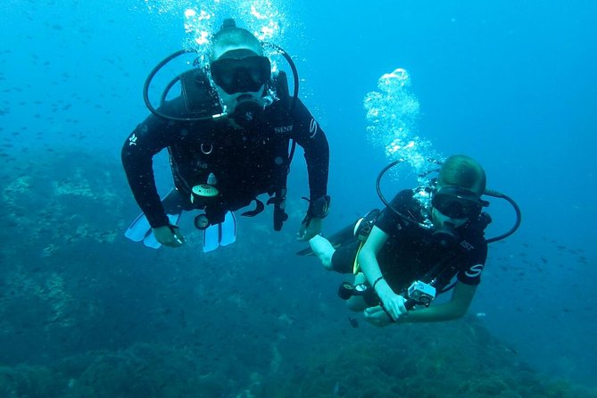 PADI Discover Scuba Diving in Koh Tao - Half Day and Two Dives - Dive Into the Pristine Waters of Koh Tao