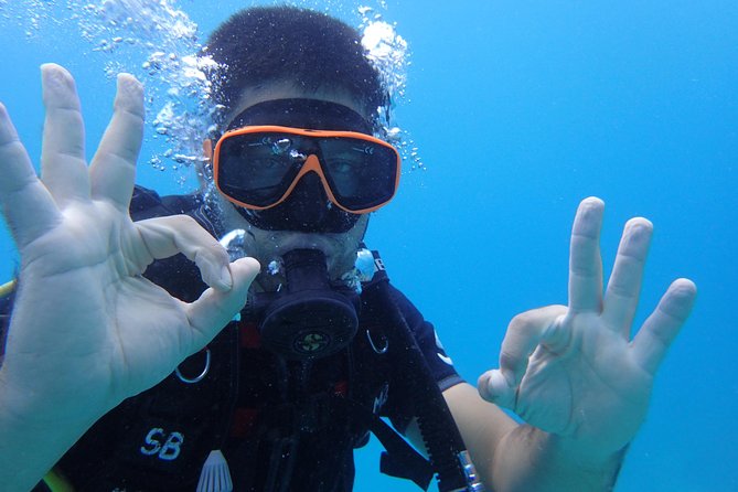 PADI Discover Scuba Diving in Koh Tao - Half Day and Two Dives - Pricing and How to Book Your Scuba Diving Adventure