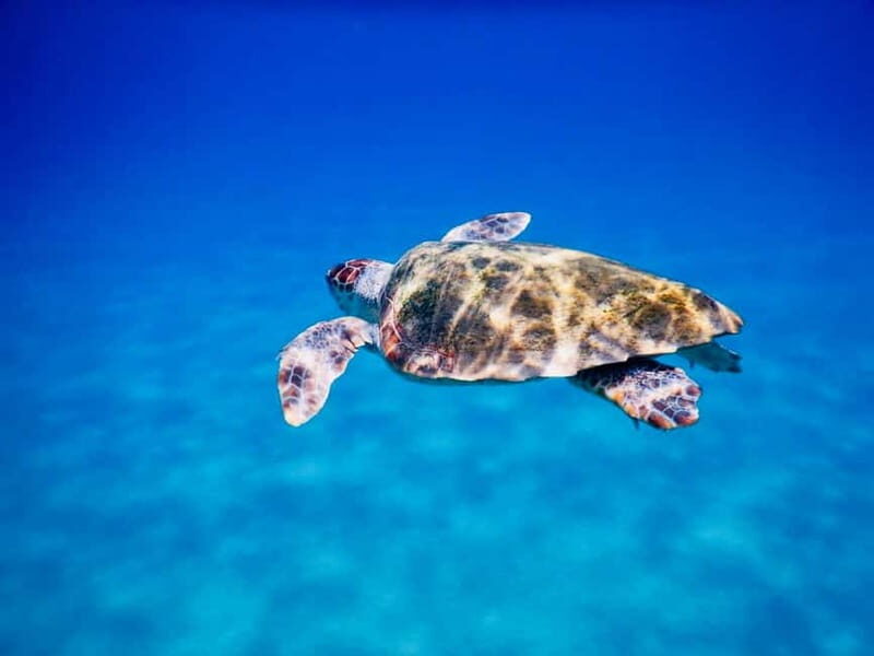 PADI Discover Scuba Diving - Ios Island - The Sum Up