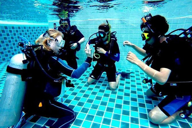 PADI Dive Divemaster - The Course Overview: What You’ll Experience