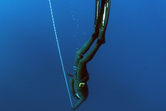 PADI Freediver Course - Course Requirements