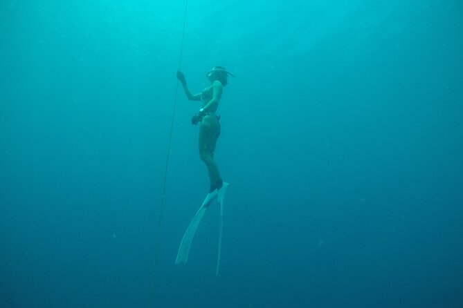 PADI Freediver Course - Customer Reviews