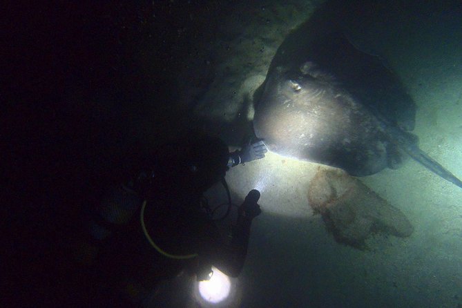 PADI Night Diver Speciality in Puerto De Mogan - Common Questions