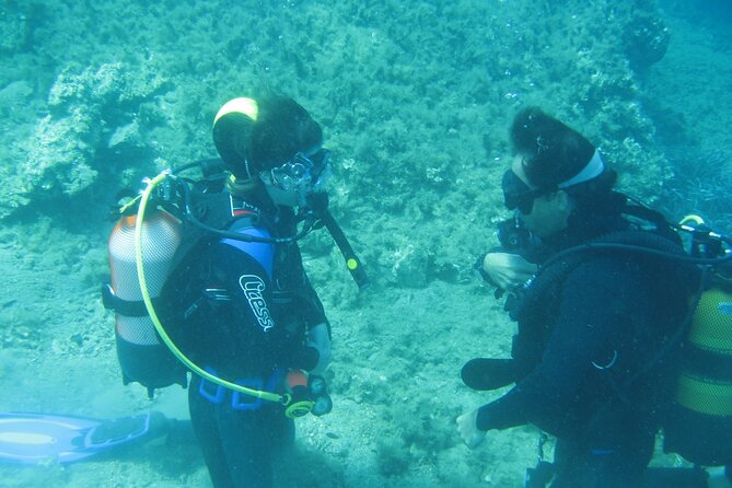 Padi Open Water Certificate in Andros Island - Participation Requirements