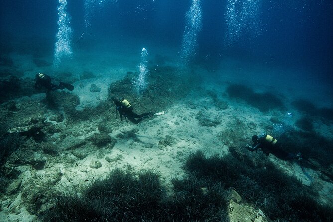 Padi Open Water Certificate in Andros Island - Questions and Additional Information