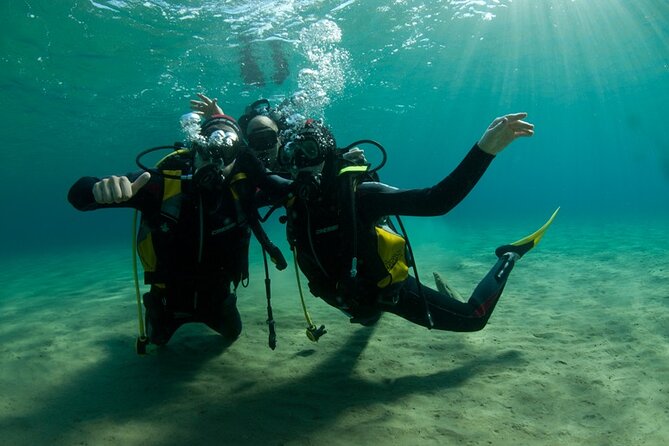 Padi Open Water Certificate in Andros Island - Pricing and Terms