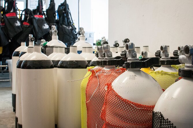 Padi Open Water Certificate in Andros Island - Common Questions