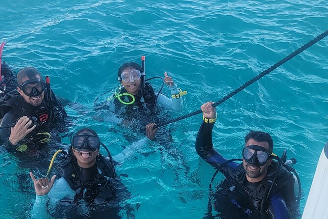 PADI Open Water Certification Course Shared Experience - Course Overview