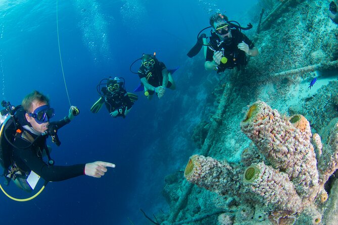 PADI Open Water Course - The Sum Up