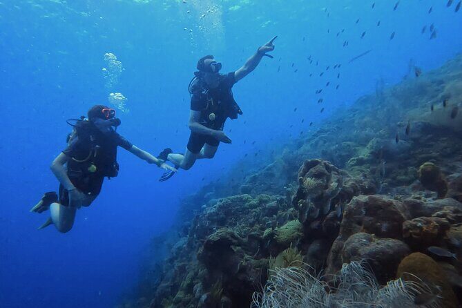 PADI Open Water Course in 3 days - PADI Open Water Course in 3 days: An Underwater Adventure