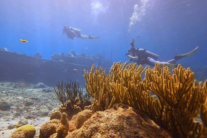 PADI Open Water Course in 3 days - The Value of the Experience