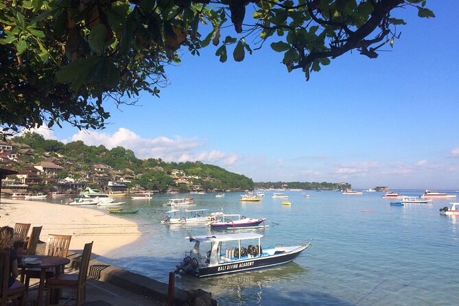PADI Open Water Course in Lembongan - Get Certified & Dive Anywhere in the World - Course Overview