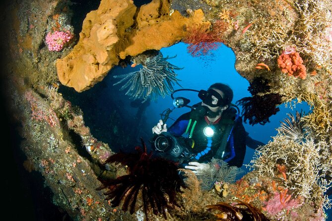 PADI Open Water Course in Tulamben - Get Certified & Dive Anywhere in the World - Course Overview