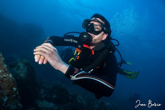 PADI Open Water Diver Course - Diving Insurance