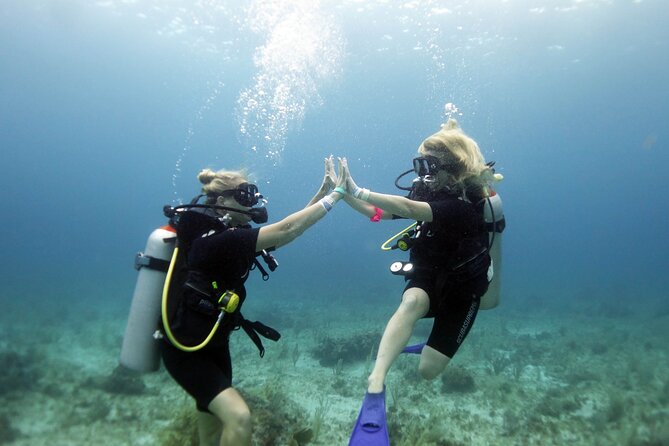 PADI Open Water Diver Course - Course Details