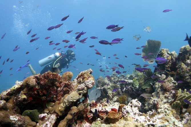 PADI Open Water Diver Course - Cancellation Policy