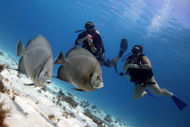 PADI Open Water Diver Course - Directions and Location
