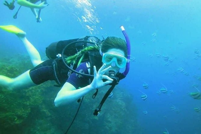 Padi Open Water Diver Course - Reviews and Ratings