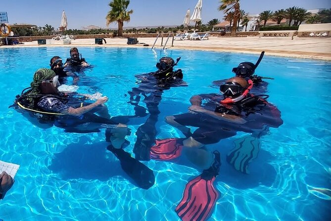 PADI Open Water Diver Course in Hurghada - Learn Scuba Diving - Course Overview
