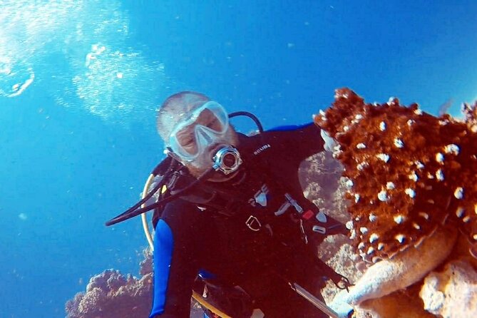 PADI Open Water Diver Course in Hurghada - Learn Scuba Diving - Certification Requirements
