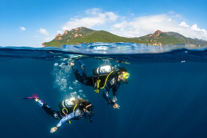 PADI Open Water Diver Course (OWD) - Course Details