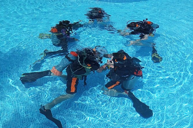 Padi Open Water Diver Course (Start at Ko Kut) - Customer Support