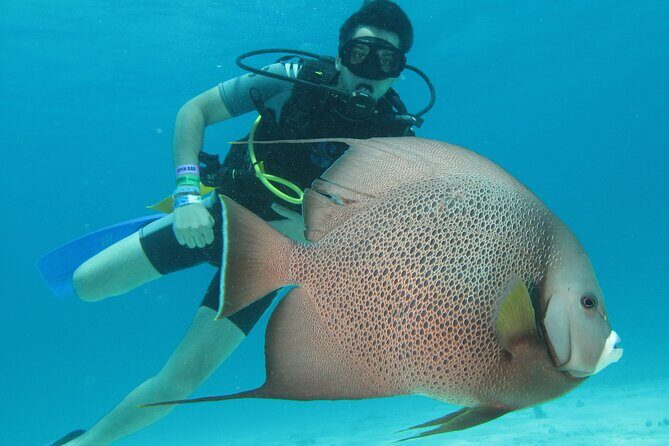 PADI Open Water Diving Certification Course Activity - Why This Cancun PADI Course Stands Out