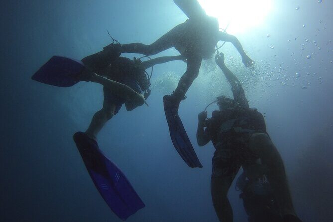 PADI Open Water Diving Certification Course Activity - Who Should Consider This Course?