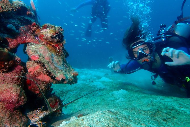 PADI Open Water Diving Course - Course Overview