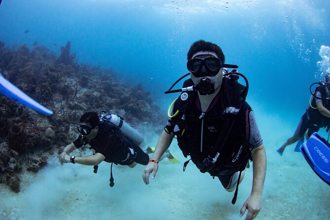 PADI Open Water Scuba Diving Course in Bayahibe - Schedule and Logistics