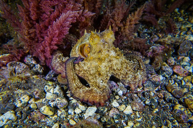 PADI ReActivate Course - Course Overview