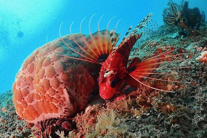 PADI Rescue Diver - Cancellation Policy