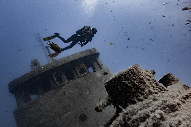 PADI Scuba Diving Courses in Tenerife: All Specialities Until Divemaster - Reviews and Ratings