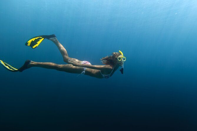 PADI Skin Diver (Snorkeling) - One Day Program - Analyzing the Value: Is It Worth the $60?