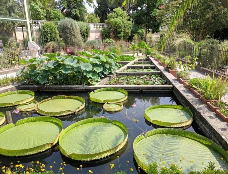Padua Botanical Garden: Sacred Architecture and Plant Intelligence - Exploring Padua’s Botanical Heritage