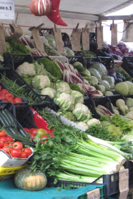 Padua Street Food Walk - Food and Wine Guide