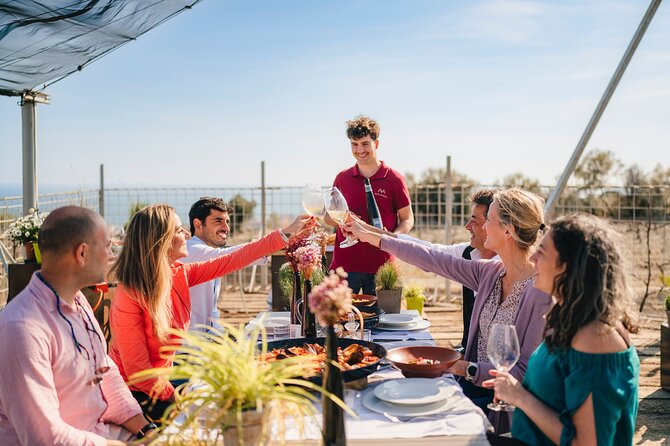 Paella Cooking Experience & Winery Tour From Barcelona - What To Expect