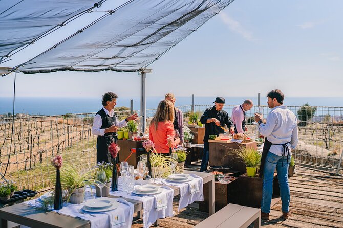 Paella Cooking Experience & Winery Tour From Barcelona - Reviews