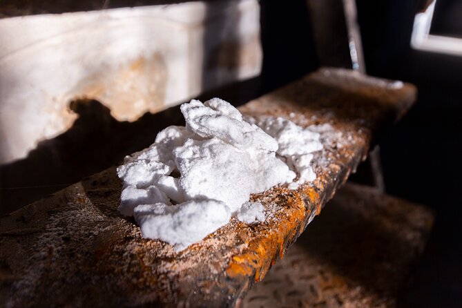 Paella, Olive Oil, Wine & Relax in Rural Estate Outside Madrid - Common Questions