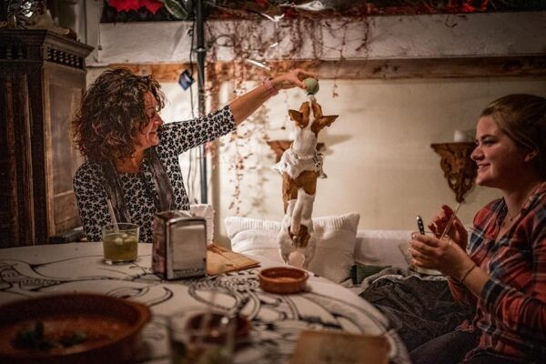 Paella Over Palma - Reservation and Cancellation Policy