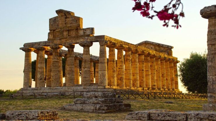 Paestum: 2-Hour Greek Temples & Archaeological Museum - Experience Highlights