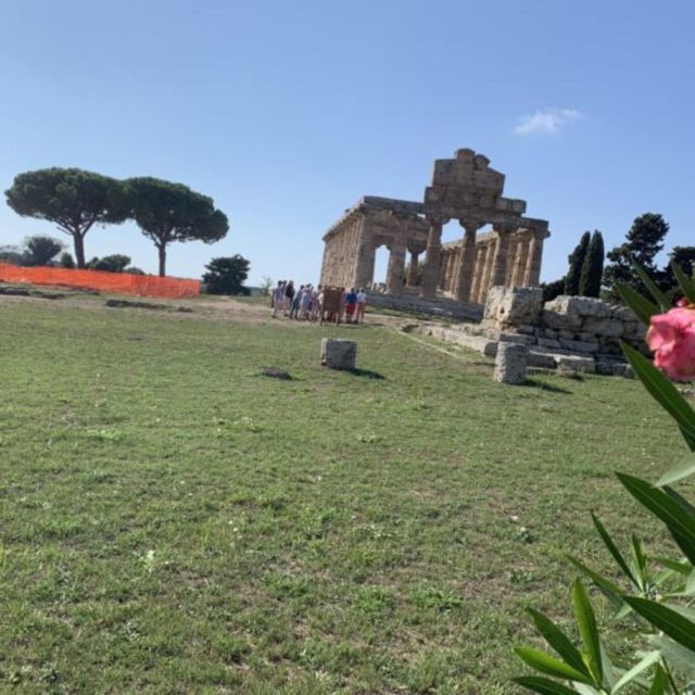 Paestum and Its Greek Temples Private Day Tour From Rome - Activity Description