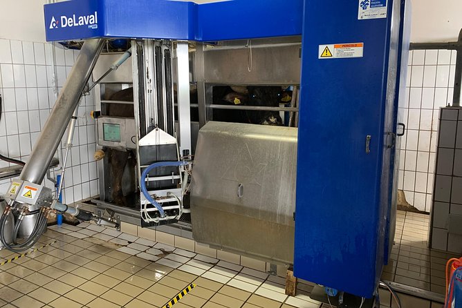 PAESTUM and POMPEII - Historical Significance of Paestum