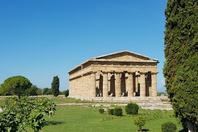 Paestum and Pompeii- Full Day Tour From Rome - Tour Pricing and Booking
