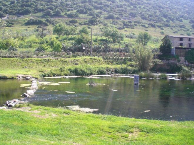 Paestum: Guided City Orientation Tour - Meeting Point & Important Info