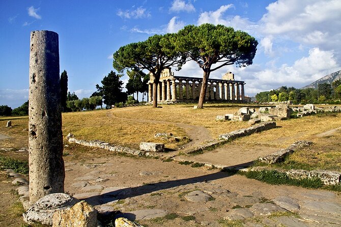 Paestum Temples and Museum Skip the Line Private Guided Tour With a Local Guide - The Sum Up
